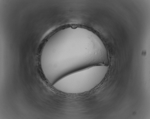 X0000093561208200710150950