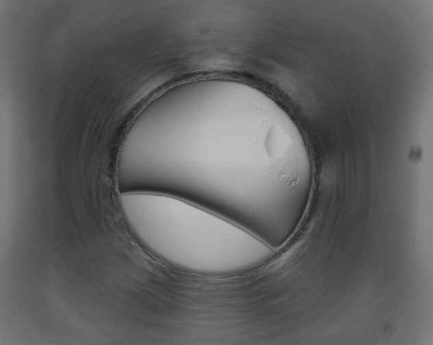 X0000093561209200710150950