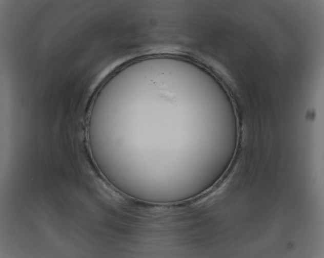 X0000093561212200710150950