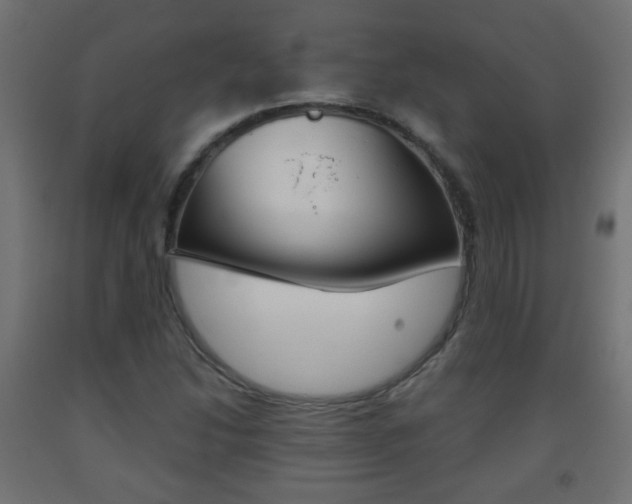 X0000093561214200710150950