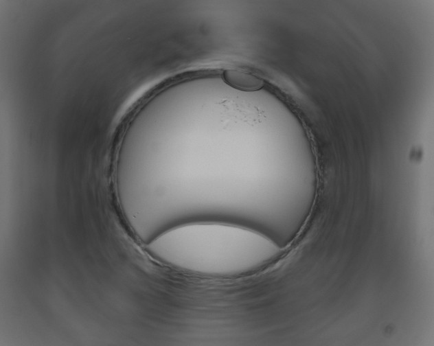 X0000093561216200710150950