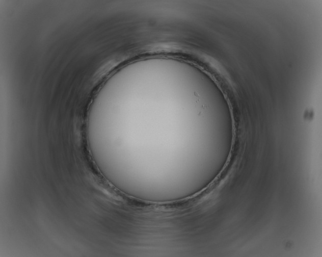 X0000093561217200710150950