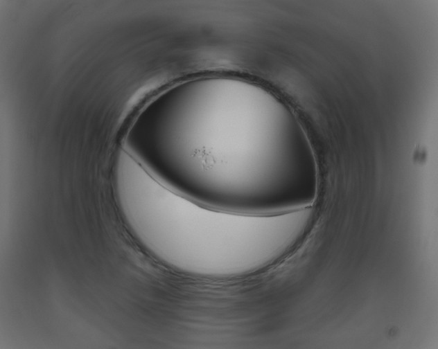 X0000093561218200710150950