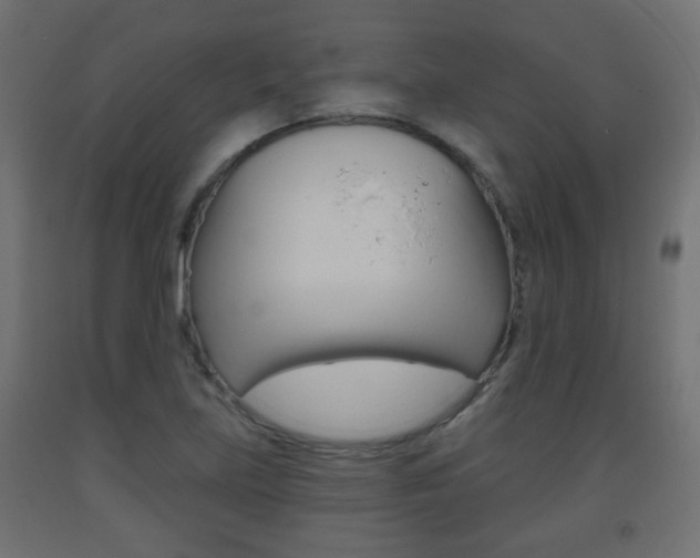 X0000093561219200710150950