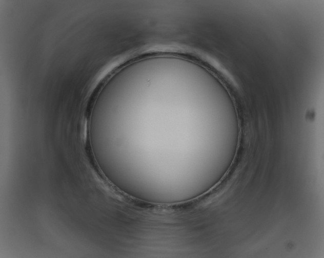 X0000093561221200710150950