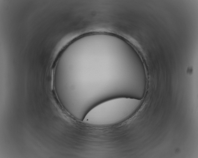 X0000093561223200710150950