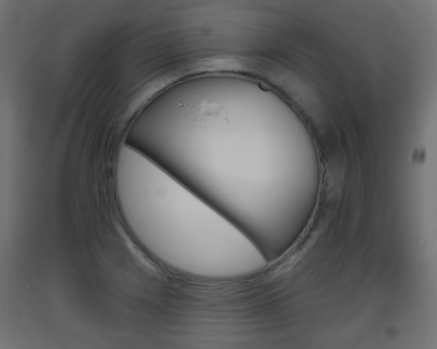 X0000093561225200710150950