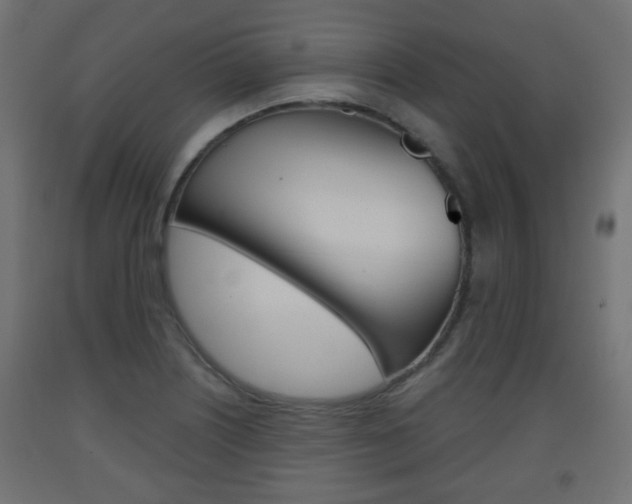 X0000093561226200710150950