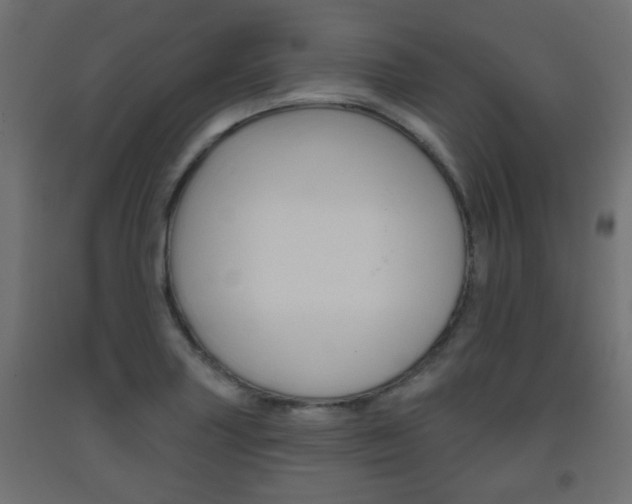 X0000093561227200710150950