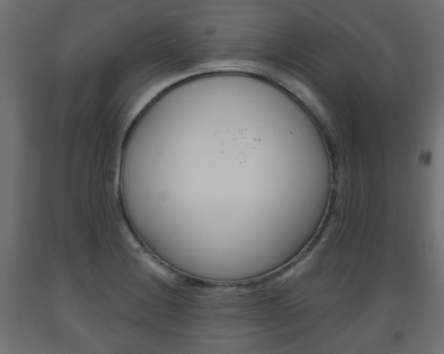 X0000093561228200710150950