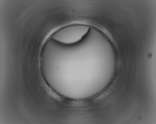 X0000093561232200710150950