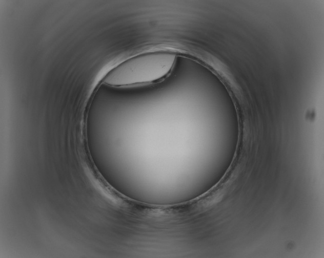 X0000093561234200710150950