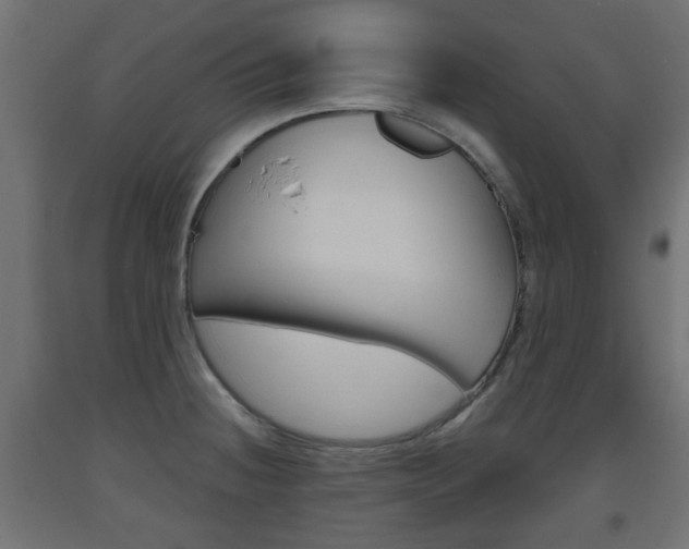 X0000093561236200710150950