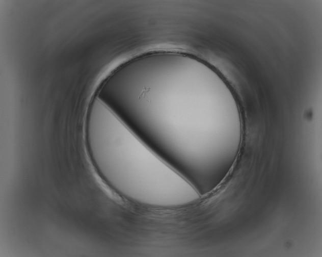 X0000093561237200710150950