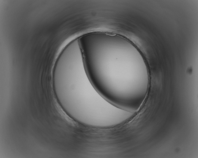 X0000093561238200710150950
