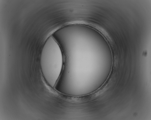 X0000093561241200710150950