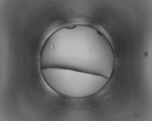 X0000093561243200710150950