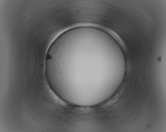 X0000093561244200710150950
