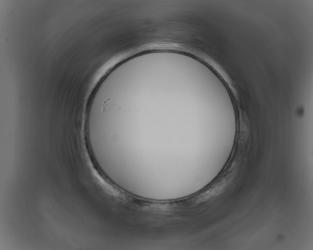 X0000093561245200710150950
