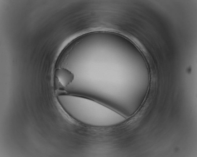 X0000093561246200710150950