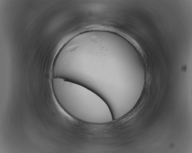 X0000093561247200710150950