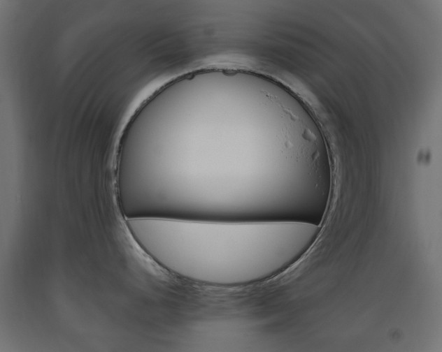 X0000093561248200710150950
