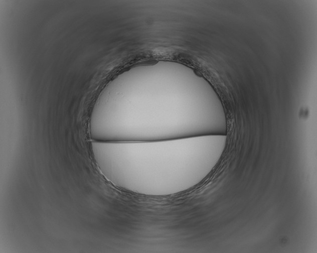 X0000093561249200710150949