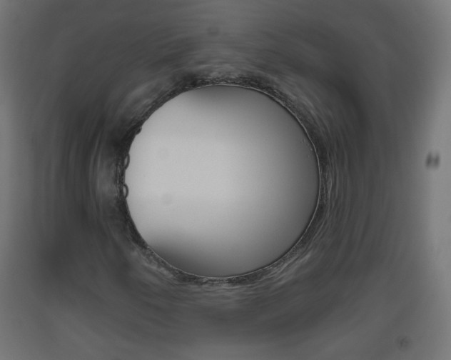 X0000093561250200710150949