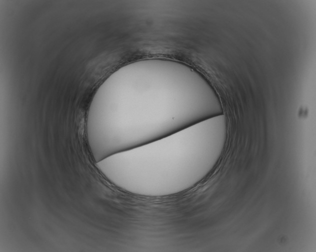 X0000093561251200710150949