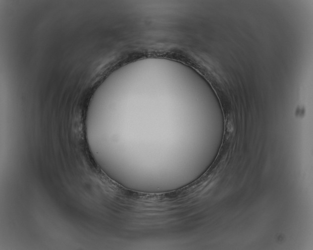 X0000093561252200710150949