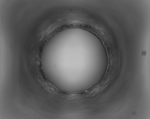 X0000093561253200710150949