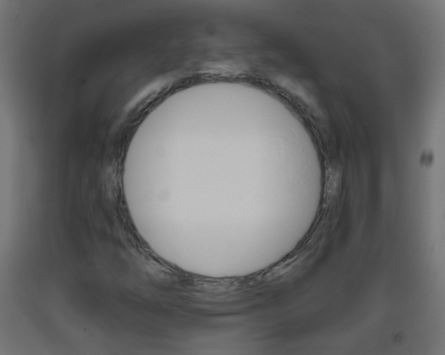 X0000093561254200710150949