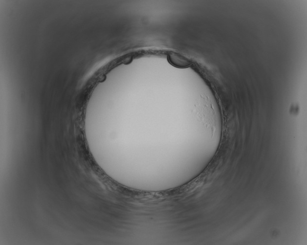 X0000093561255200710150949