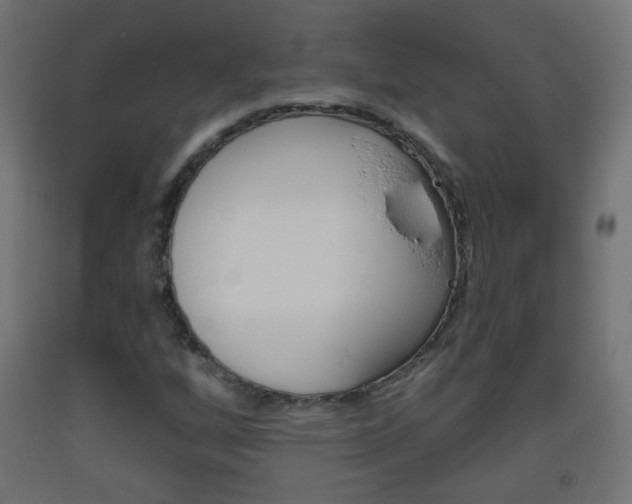 X0000093561256200710150949