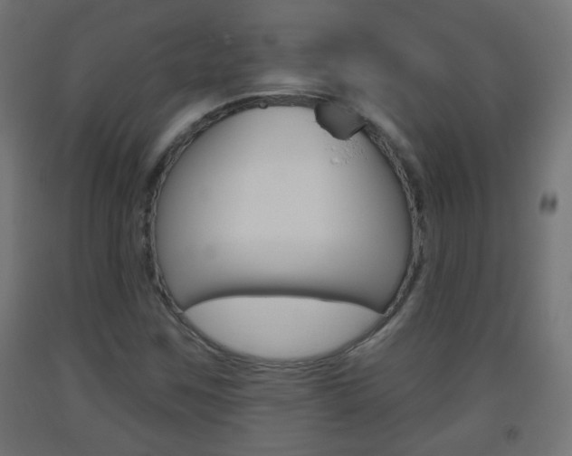 X0000093561259200710150949