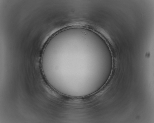 X0000093561260200710150949
