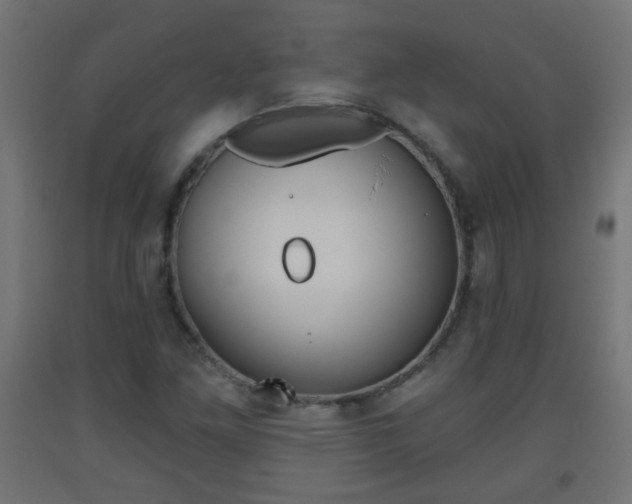 X0000093561261200710150949
