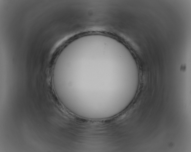 X0000093561262200710150949
