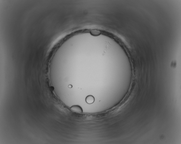 X0000093561263200710150949