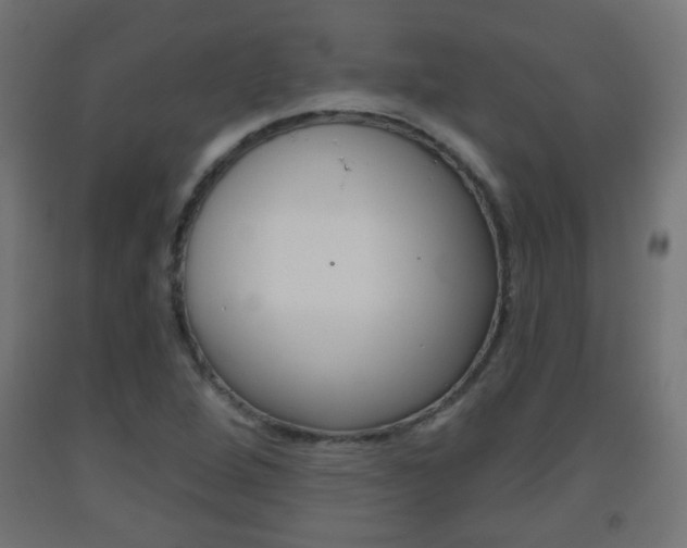 X0000093561264200710150949