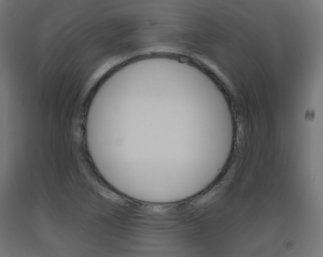 X0000093561266200710150949