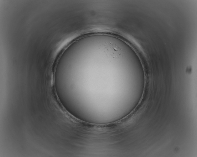 X0000093561269200710150949