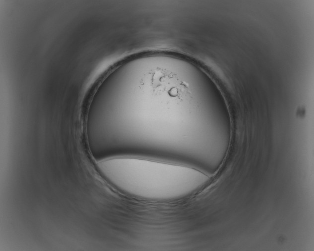 X0000093561270200710150949