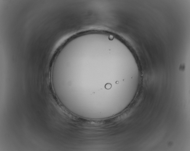 X0000093561271200710150949