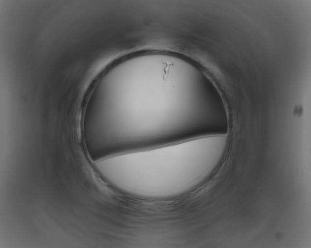 X0000093561272200710150949