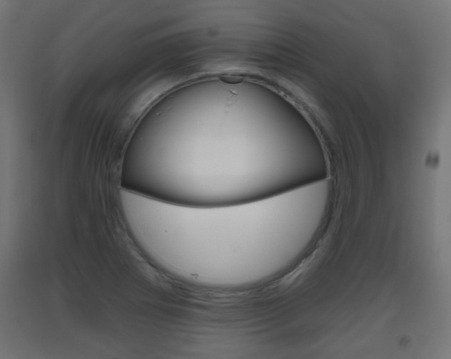 X0000093561273200710150949