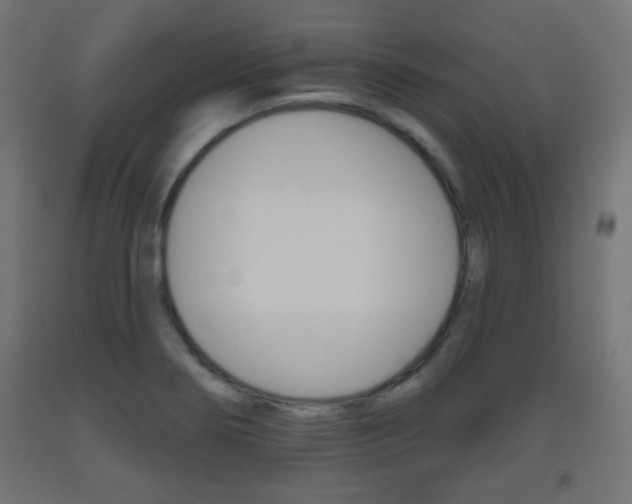 X0000093561274200710150949