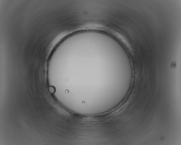 X0000093561275200710150949