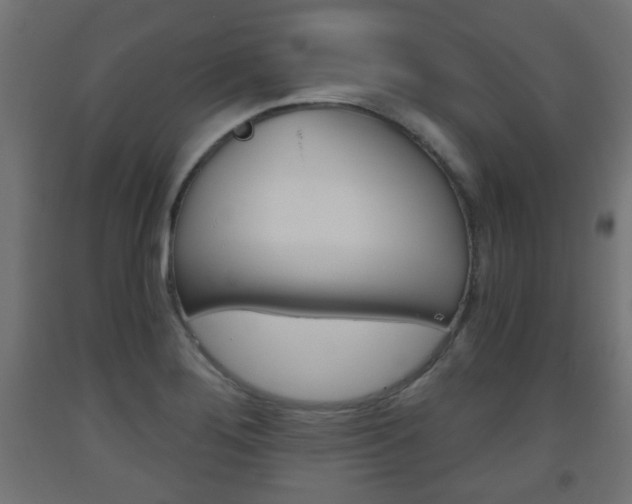 X0000093561276200710150949