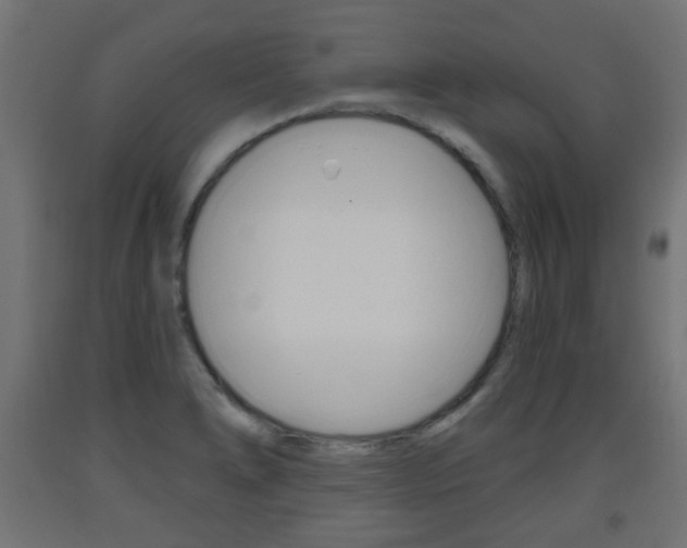 X0000093561278200710150949